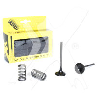 Steel Exhaust Valve/Spring Kit YZ/WR250F 
